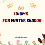 idioms for winter season